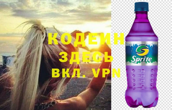 Альфа ПВП Лагань