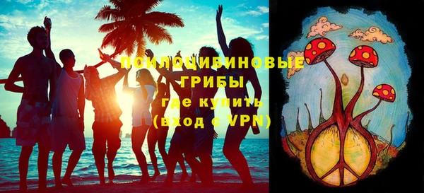 Альфа ПВП Лагань