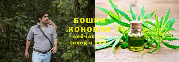 хмурый Лиски