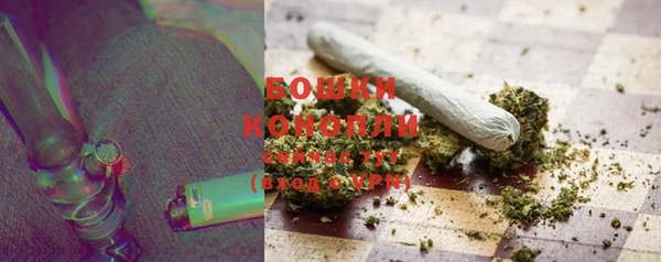 гашик Липки