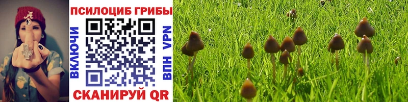 Галлюциногенные грибы Cubensis  Пустошка 